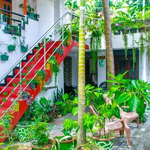 https://sigiri-tarushan-home-stay.kandyhotelsnow.com