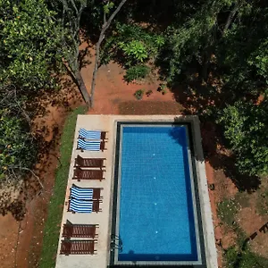 https://isanka-lion-lodge.kandyhotelsnow.com